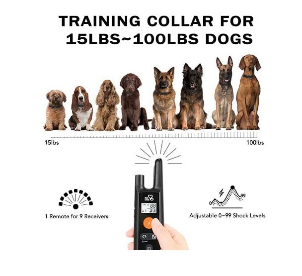 DOG CARE Remote Training